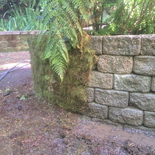 Spring-pressure-washing-for-Kirkland-springs-apartments 8